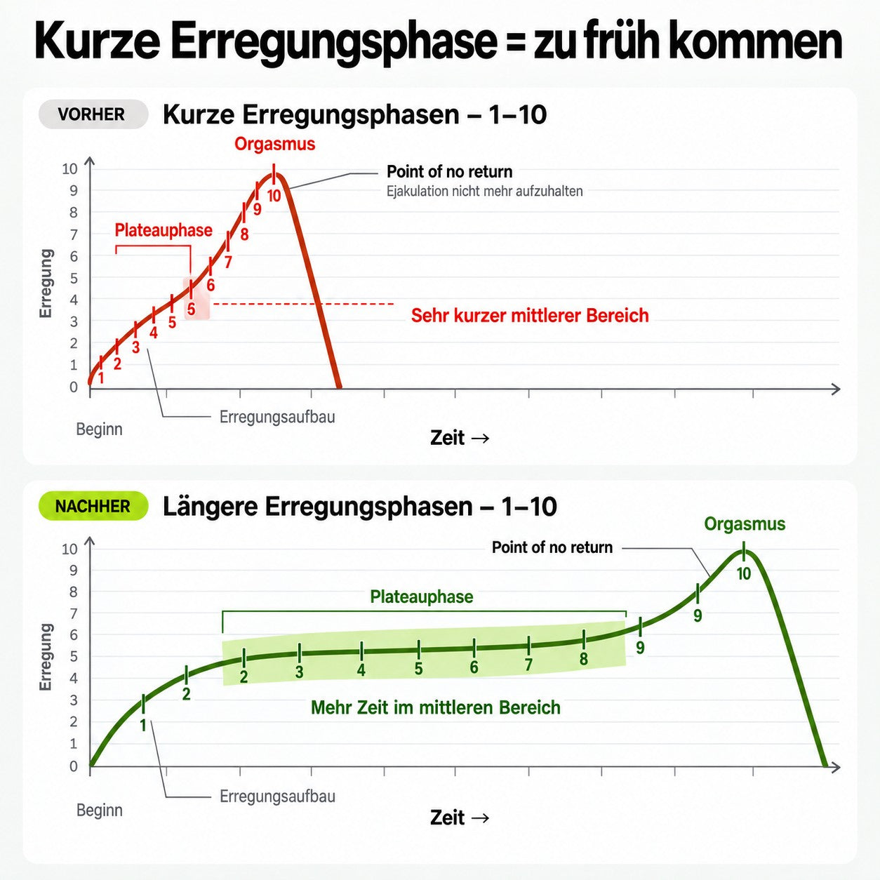 Erregungsphasen mit Orgasmus und Zeitachse